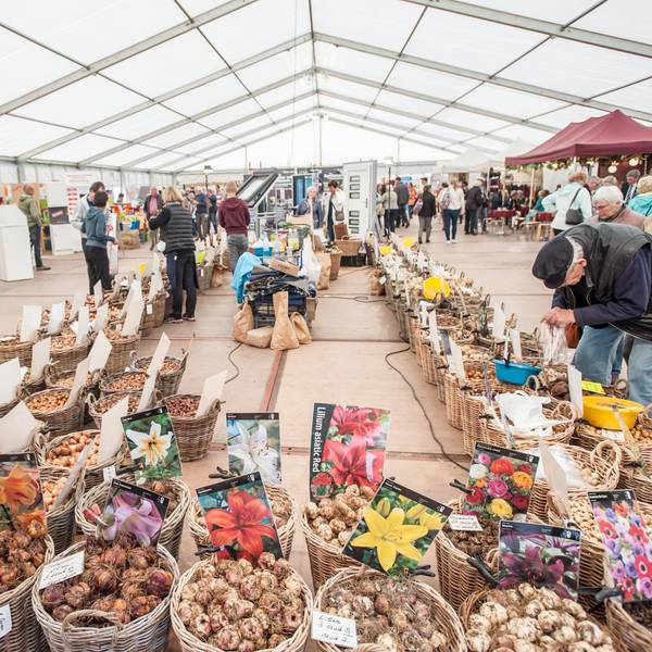 Obstmarkt in Leichlingen (2)