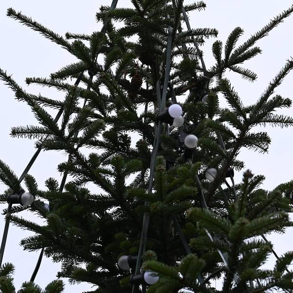 Trauriger_Weihnachtsbaum_Bergheim_Quadrath-Ichendorf_(4)