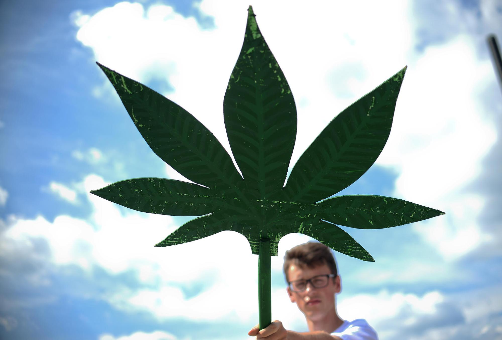 Cannabis_ anfparade_dpa