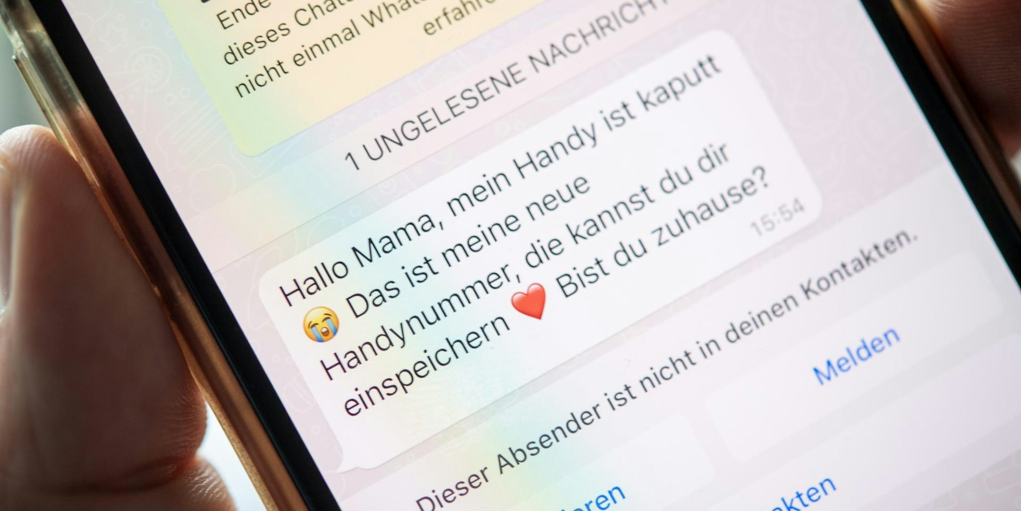 Neuer Inhalt