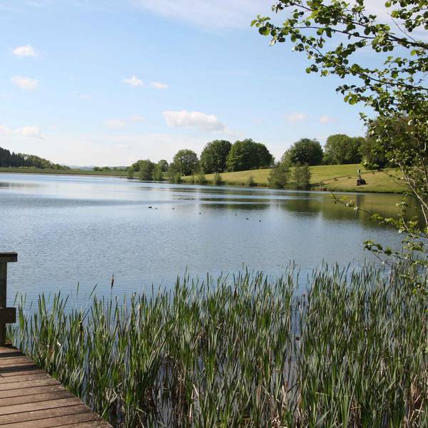 Freilinger See