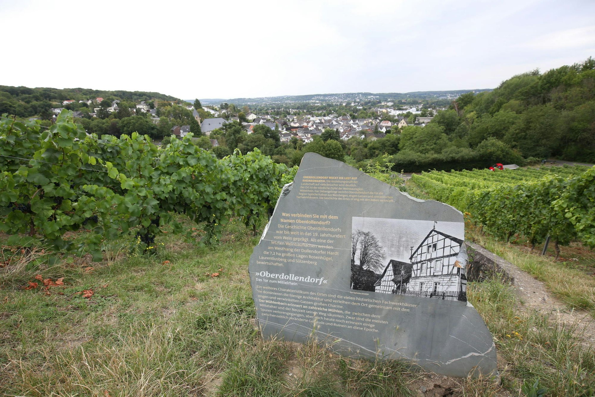 k_weinprobe_weingut_bloeser_oberdollendorf_014_rkl