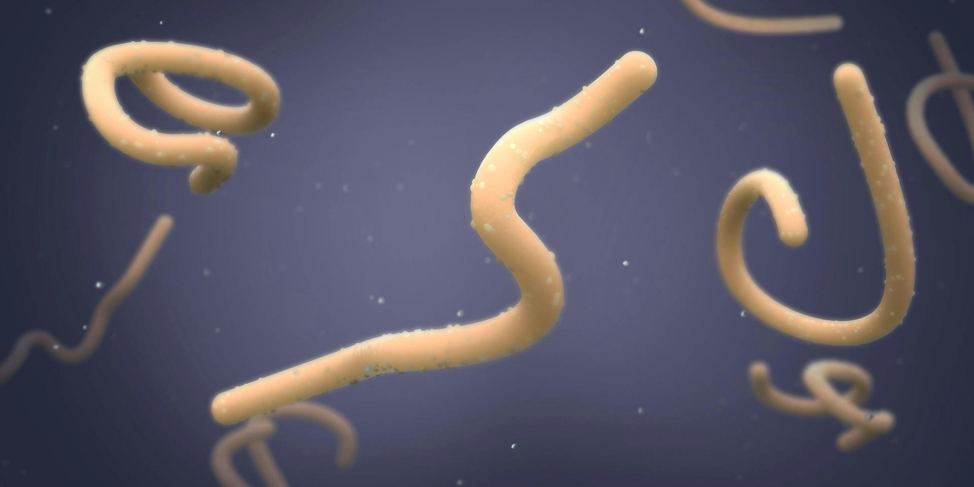 Marburg-Virus IMAGO 180722