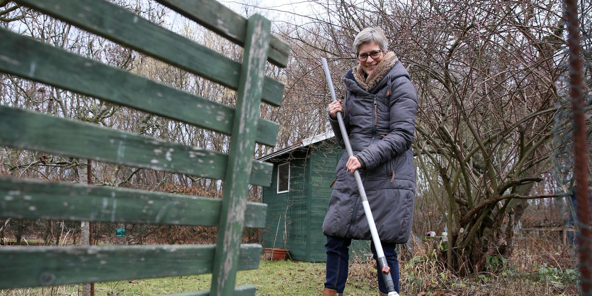 Gartenkalender 2019 Januar Harken