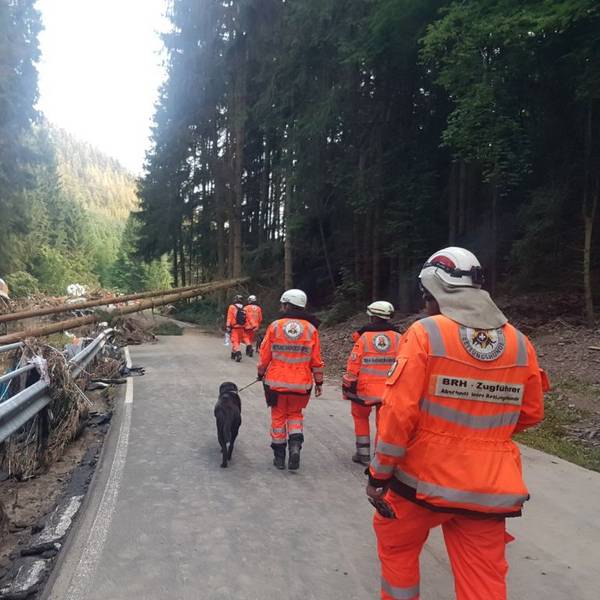 Suchhunde