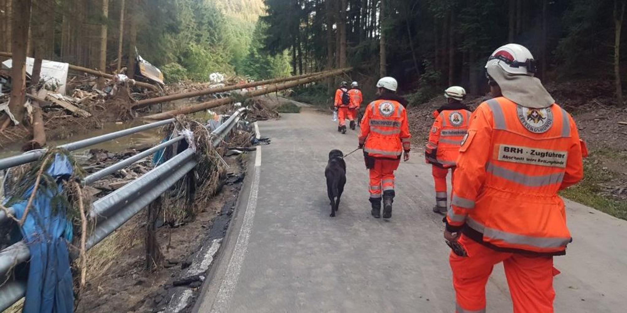 Suchhunde