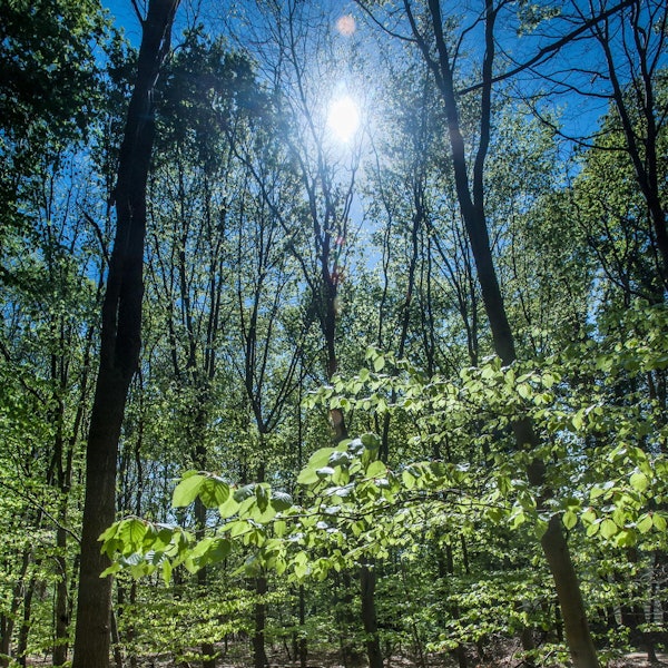 leverkusen-buergerbusch-_ALF_0615