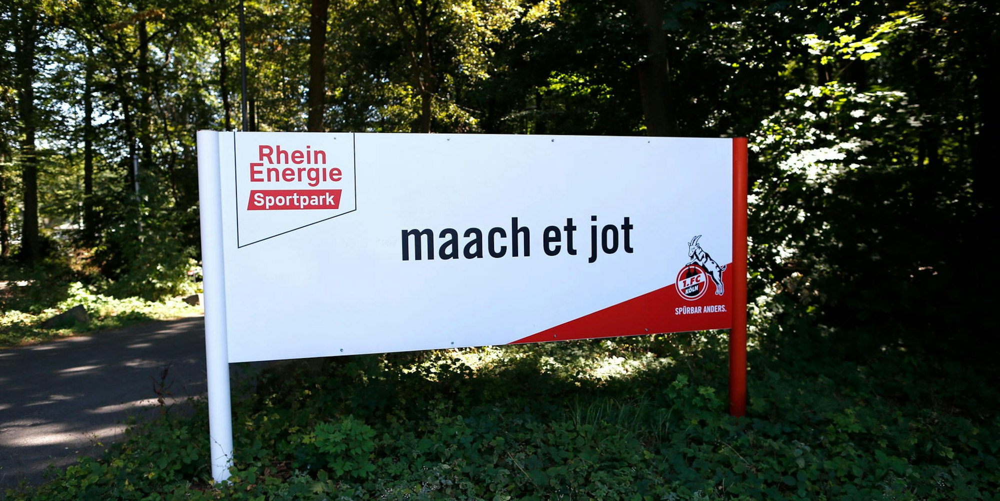 20190823_tb_Geissbockheim_014