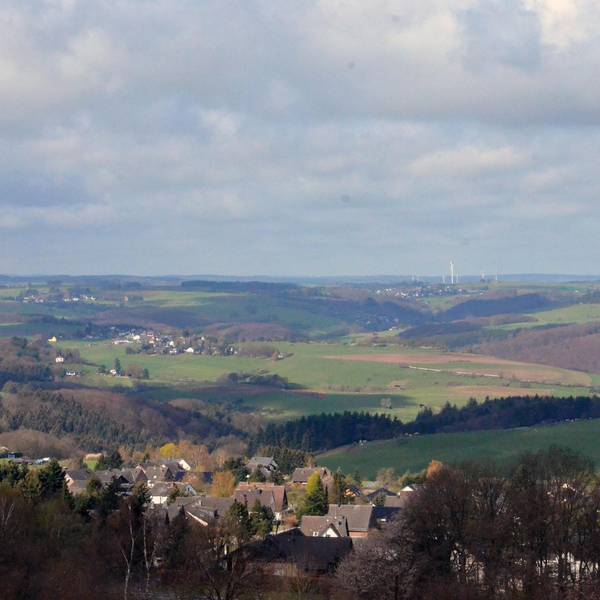 Landschaft mit Feldern, Wiesen, Häusern und Bäumen