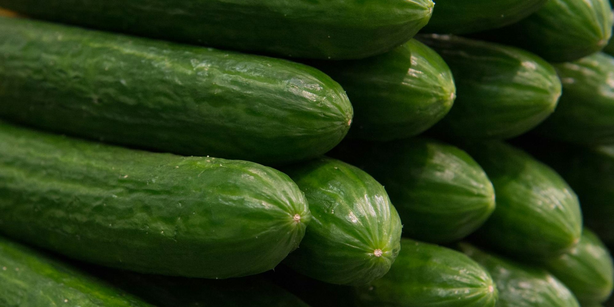 Gurken-ohne-Plastikfolie