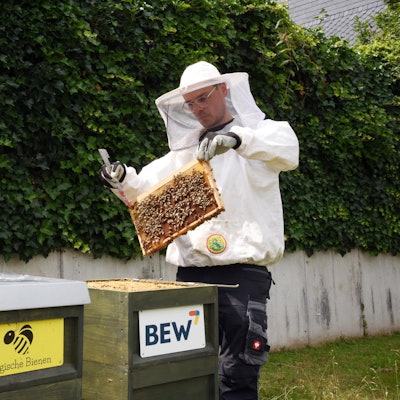 20220802_ds_Leihbienen_ManuelPeters_BEW_Lindlar