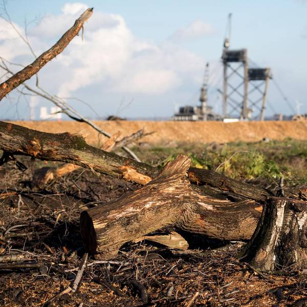 Hambacher Forst dpa neu