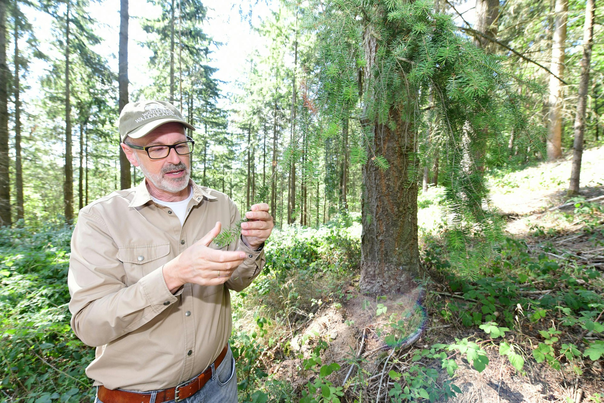 Peter Wohlleben Wanderung Olaf Wull Nickel7