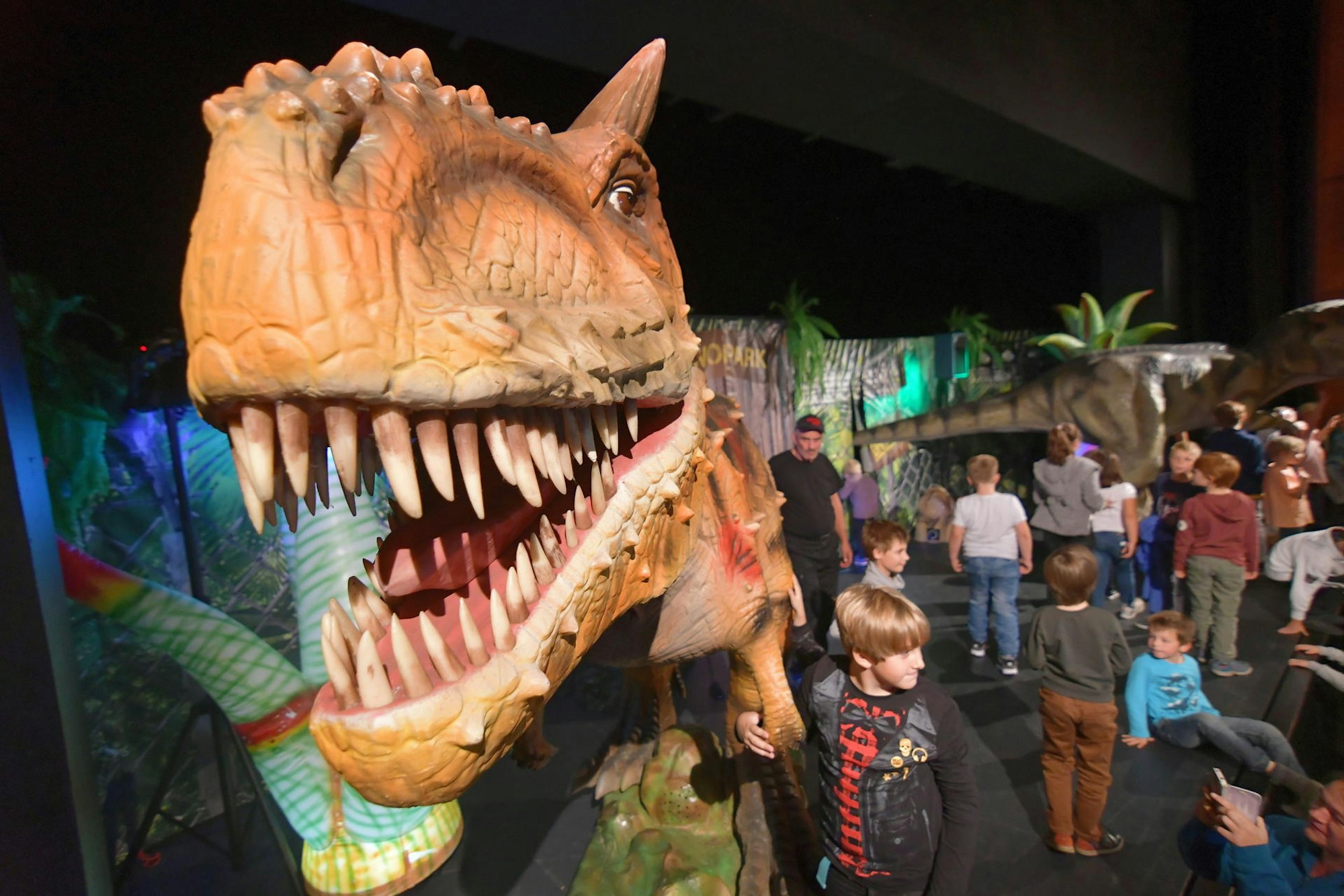 Dinoshow BG