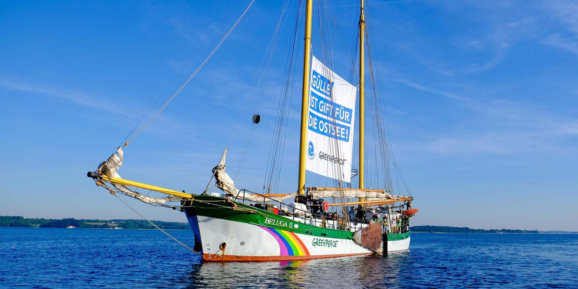 Schiff Greenpeace