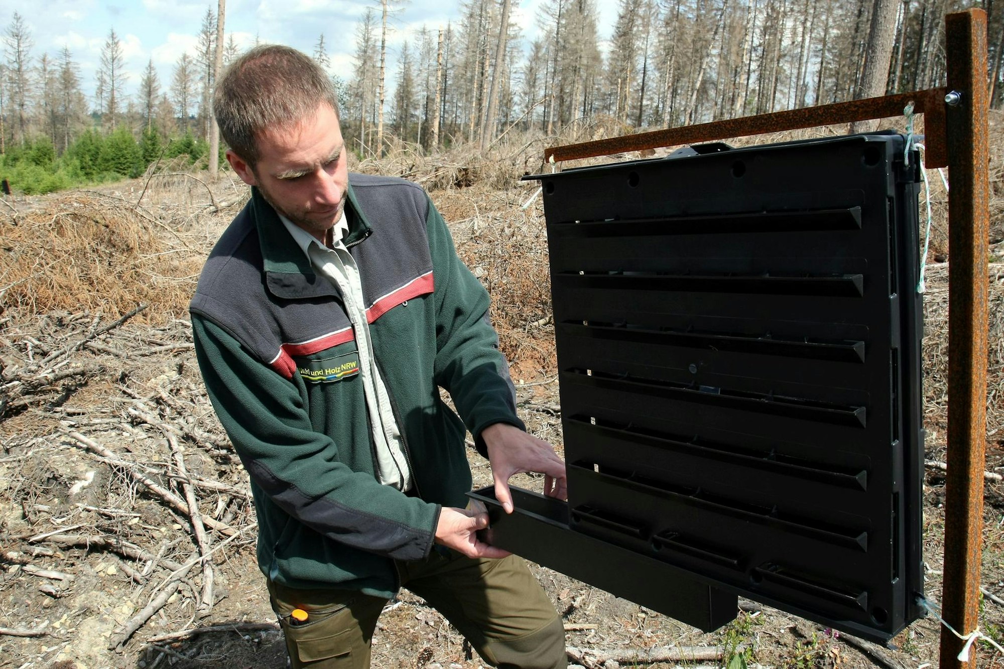 Unnenberg-Borkenkaefer3