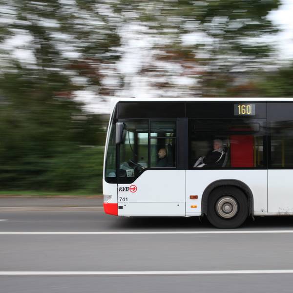 KVB Bus