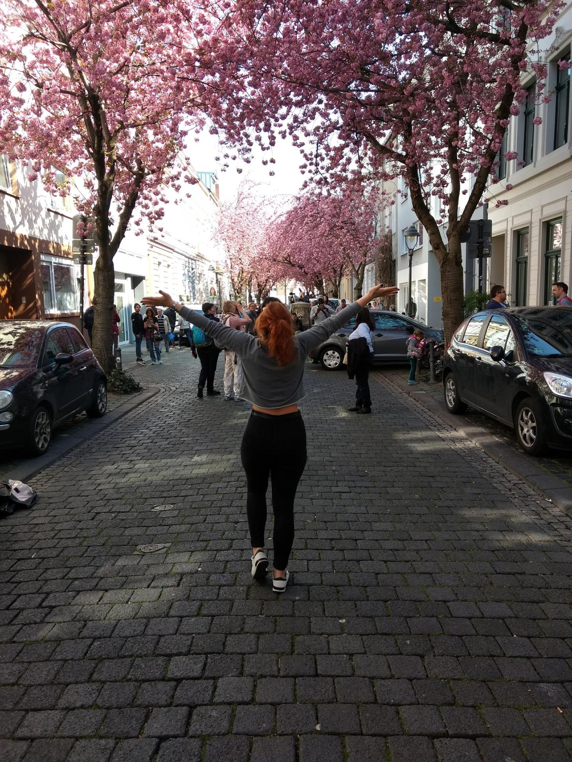 Kirschblüten_3