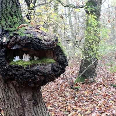 Wanderung Bad Tönisstein Krippe 1_Hedrich