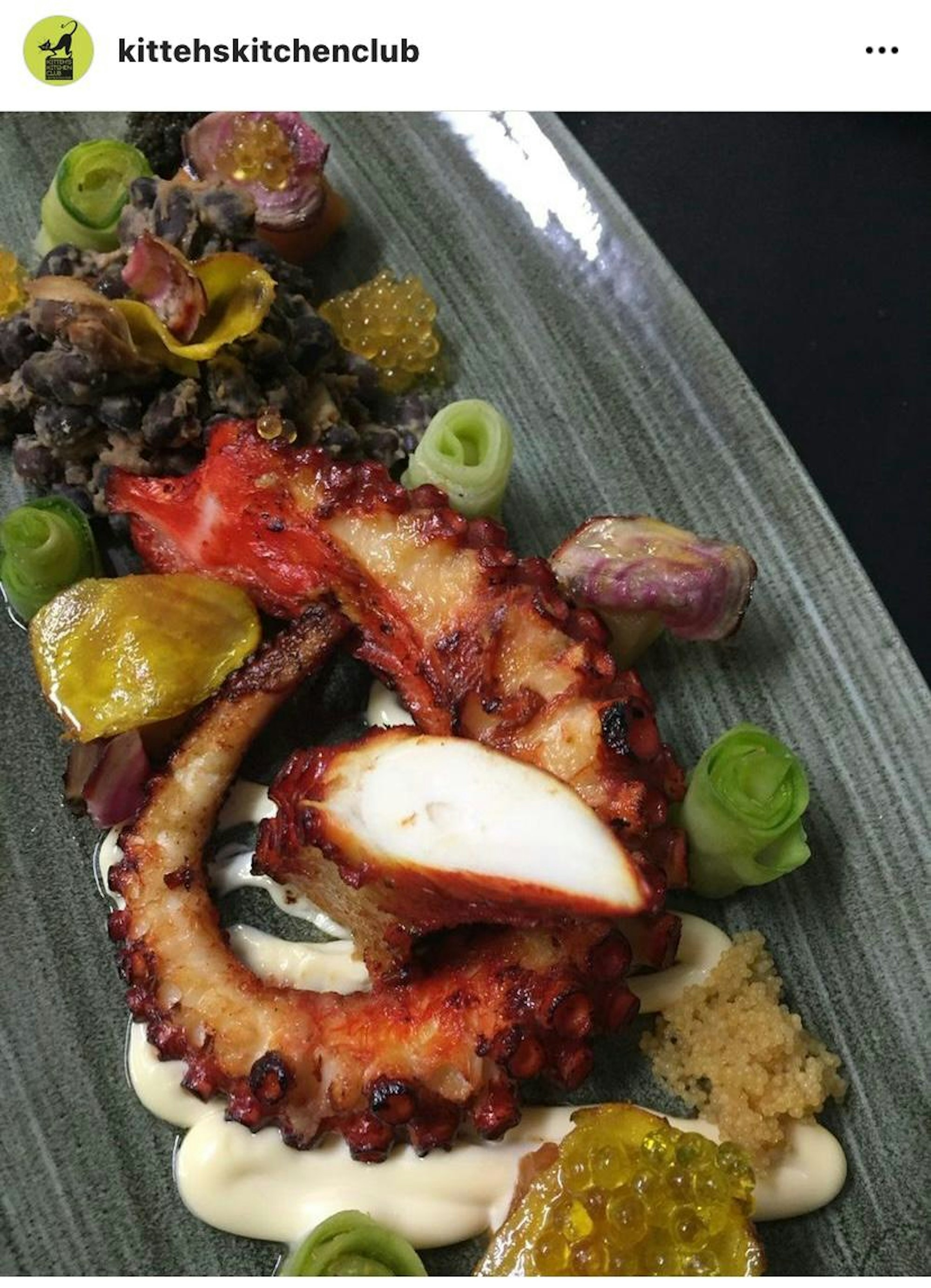 20220223-bru-hoeb-kittehskitchenclub10