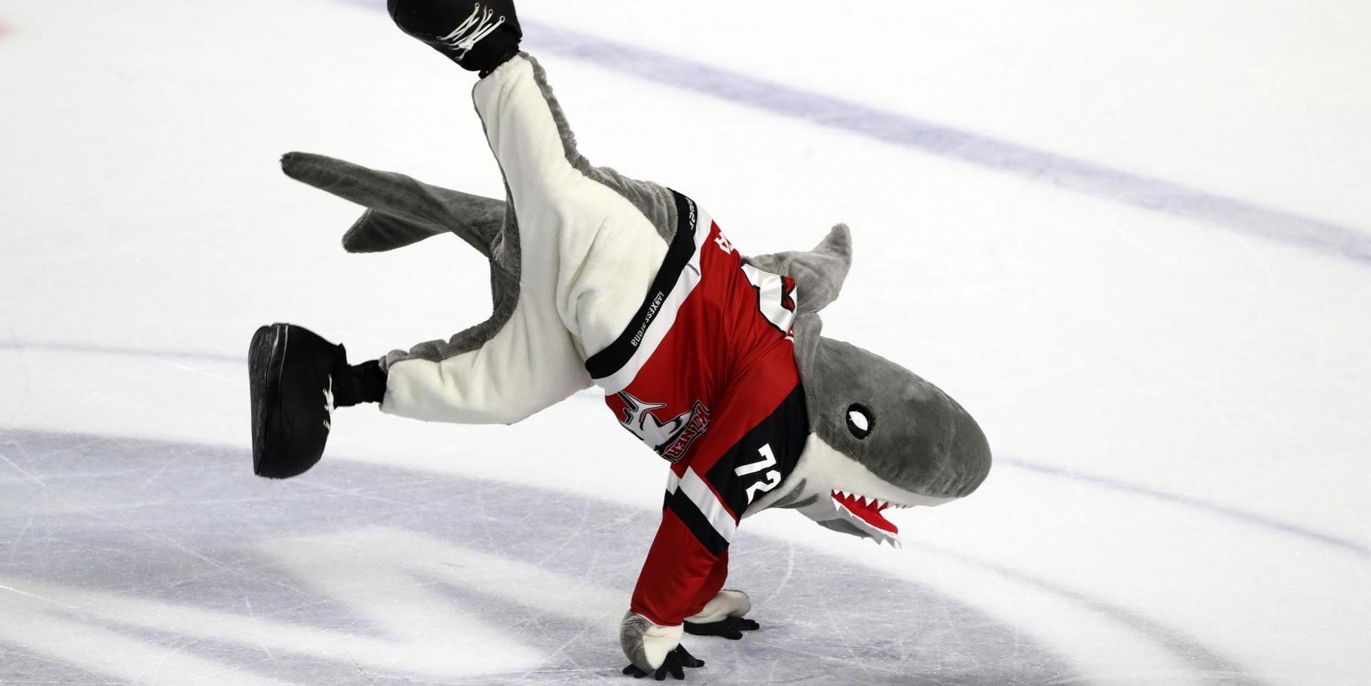 sharky von den Kölner Haien