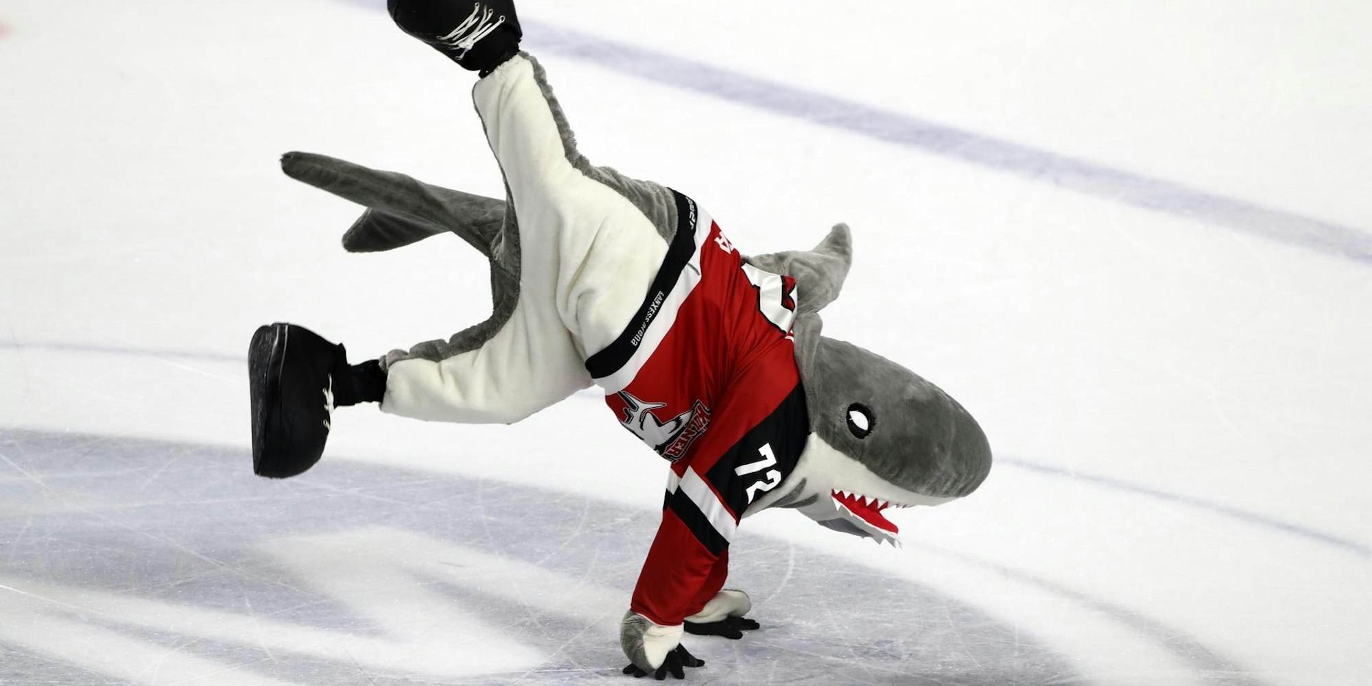 sharky von den Kölner Haien