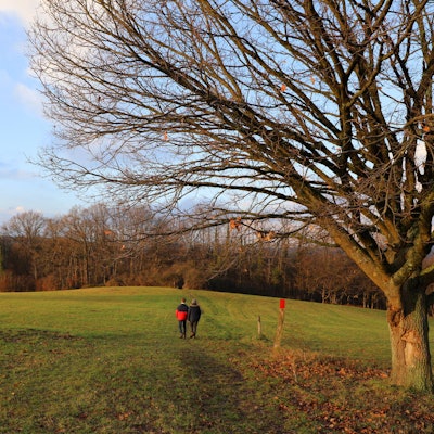 Rund_um_Altenrath_8808