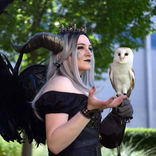 Startbild ComiCon