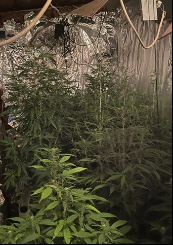 Plantage Frechen