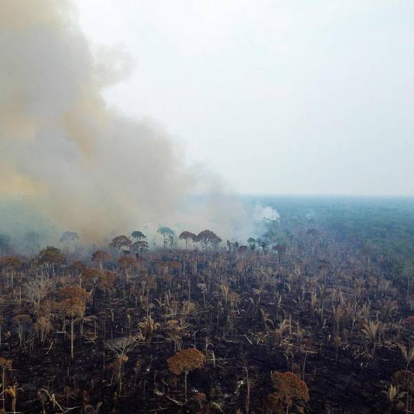 Brände im Amazonas