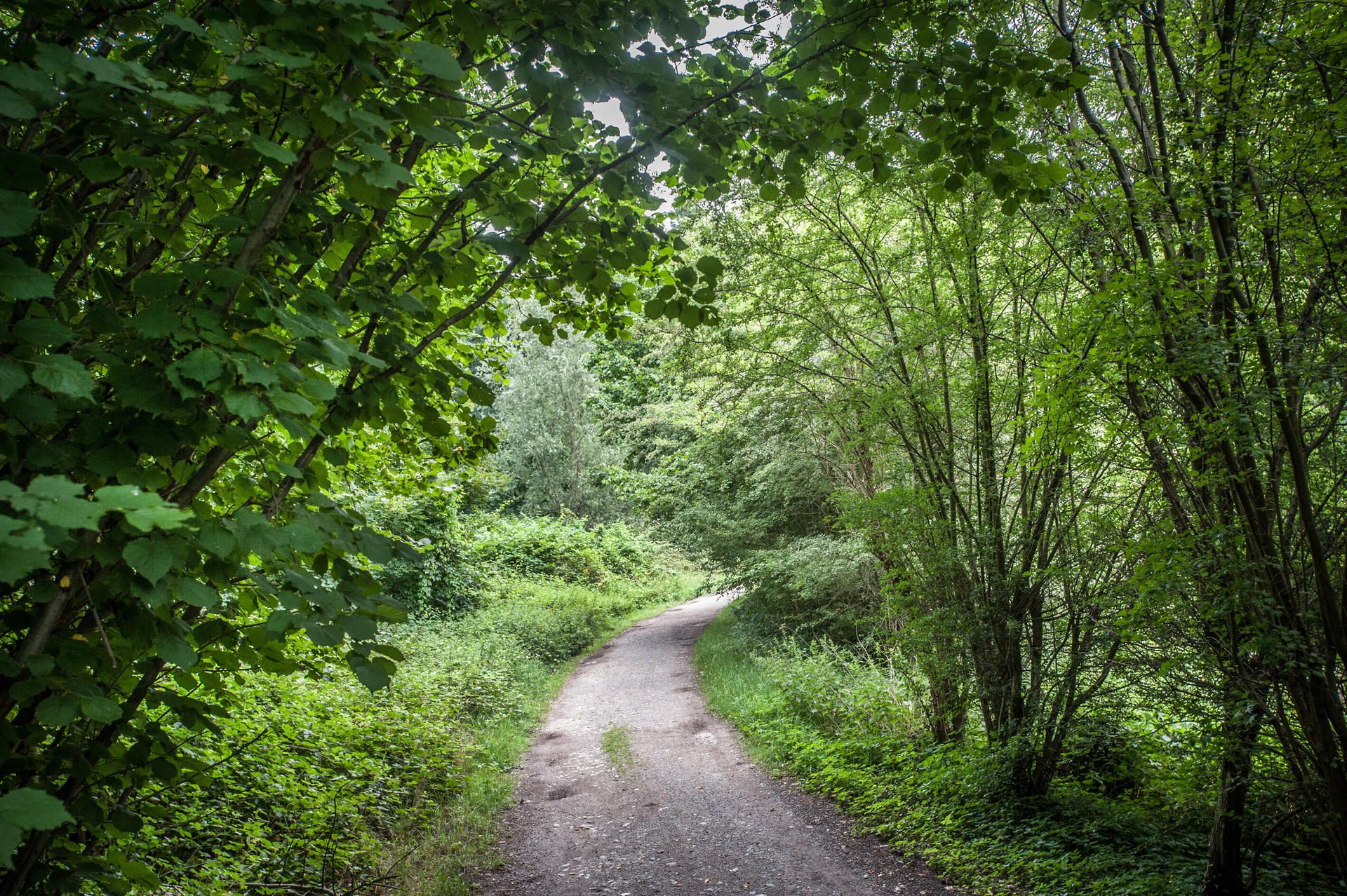 parkplaetze-morsbroich-hinterer-schlosspark-leverkusen_2
