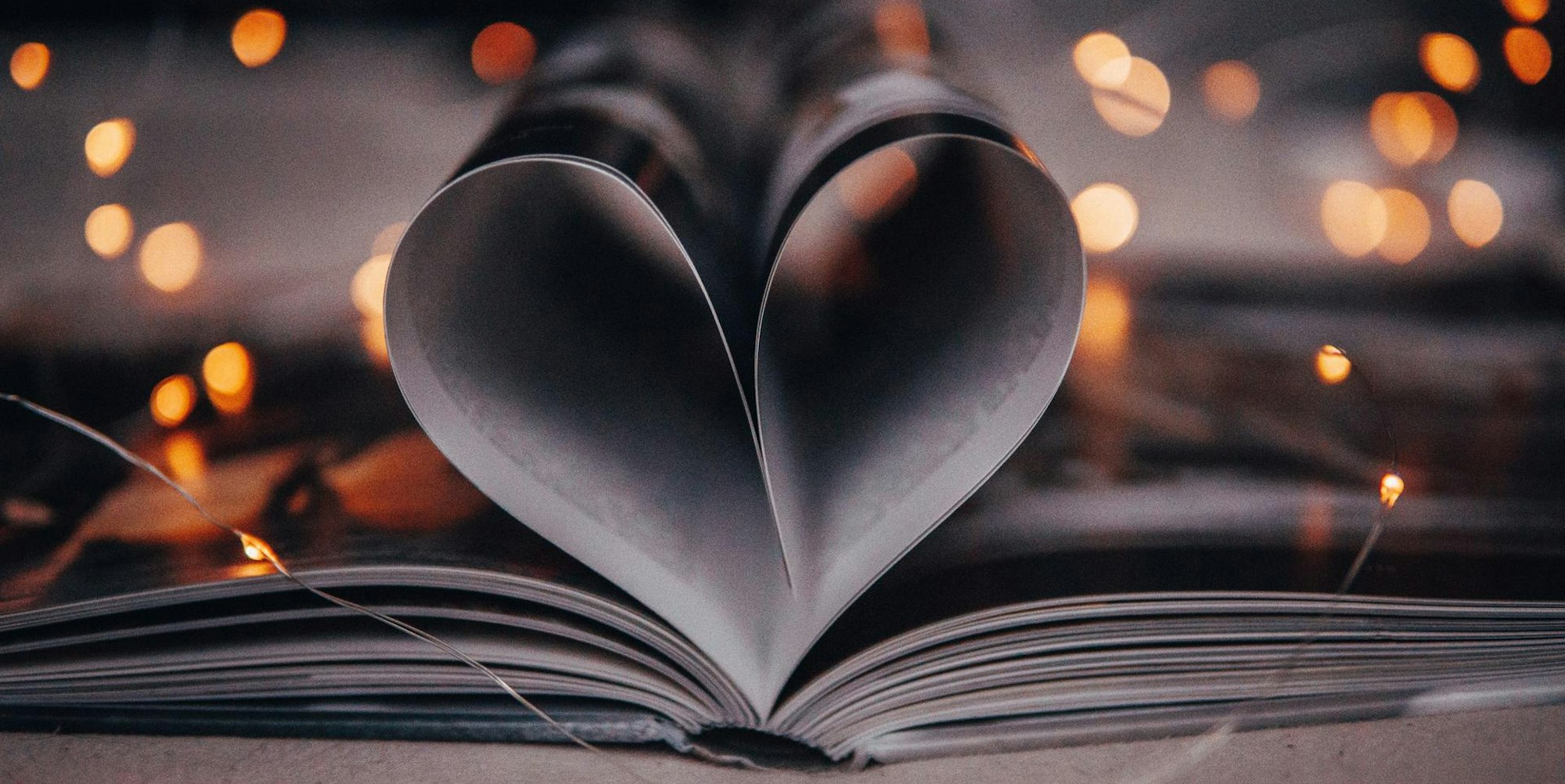 benjamin-raffetseder-LyOz2jJdCY8-unsplash