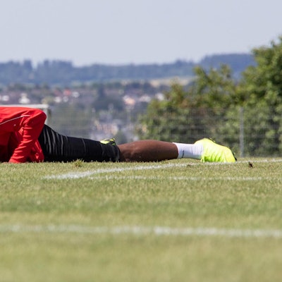 Modeste Donaueschingen