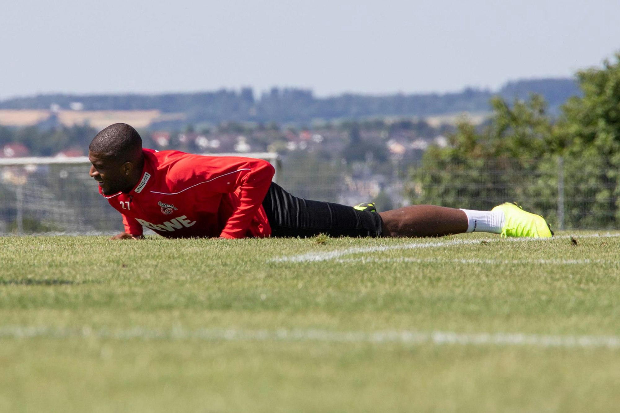 Modeste Donaueschingen