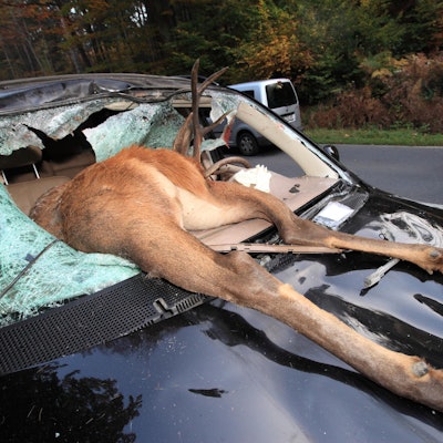 Rösrath Wildunfall 2012