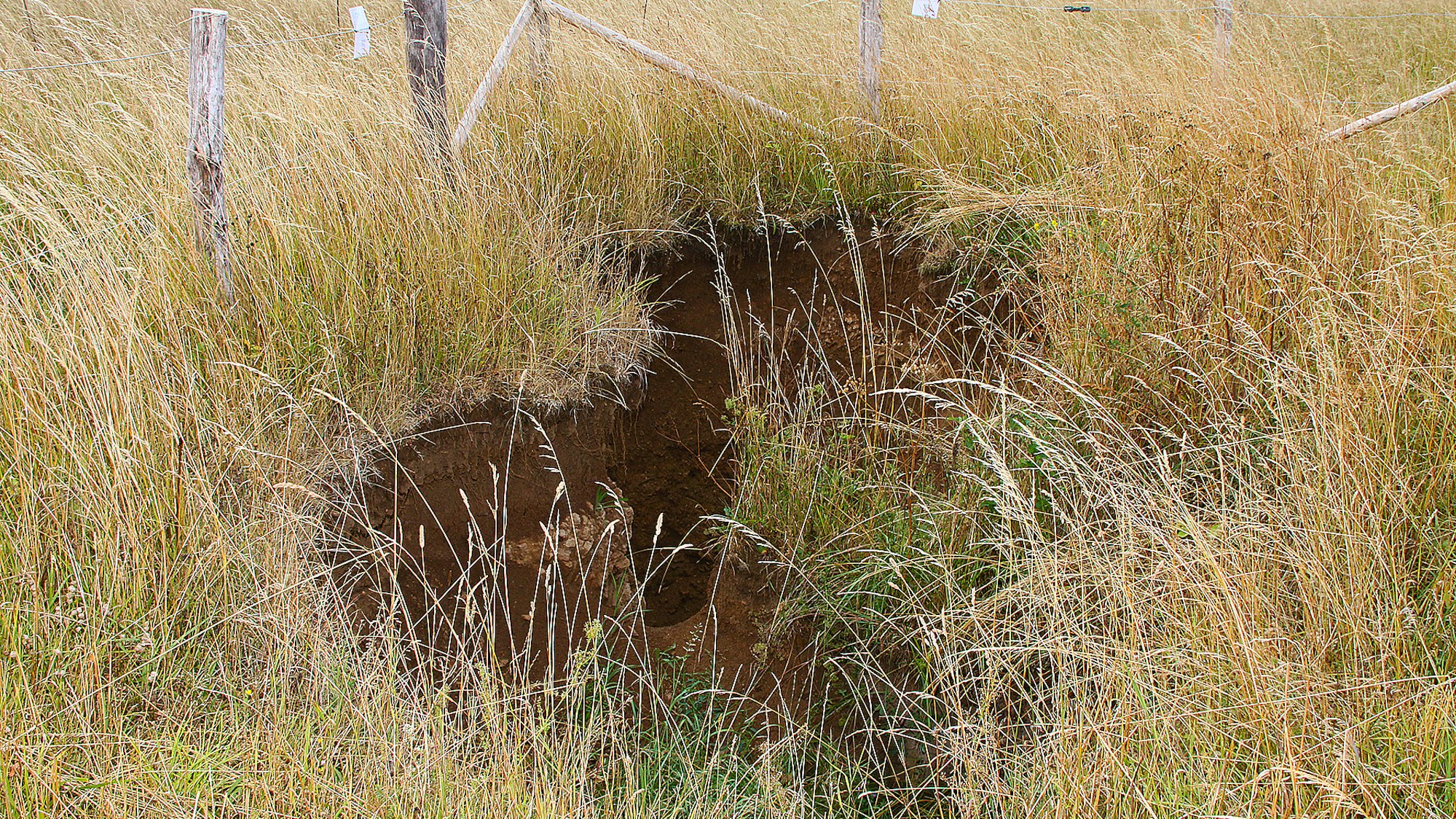 Auf einer Wiese ist ein tiefes Loch zu sehen, dahinter steht ein Zaun.