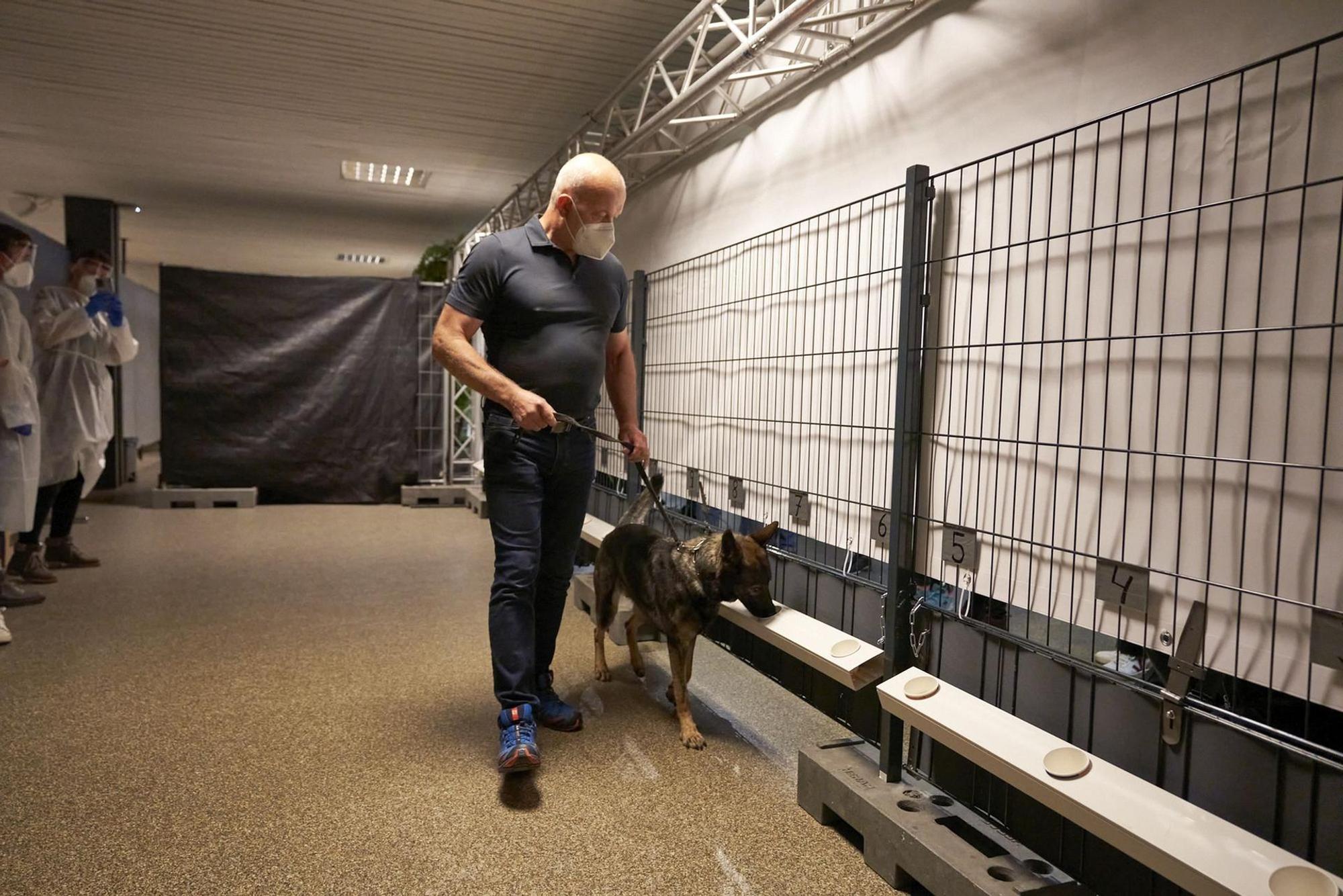 PM210920_Corona_Spuerhund_untersucht_Probe_Back_to_Culture_Hannover_US_2021_09_19_32