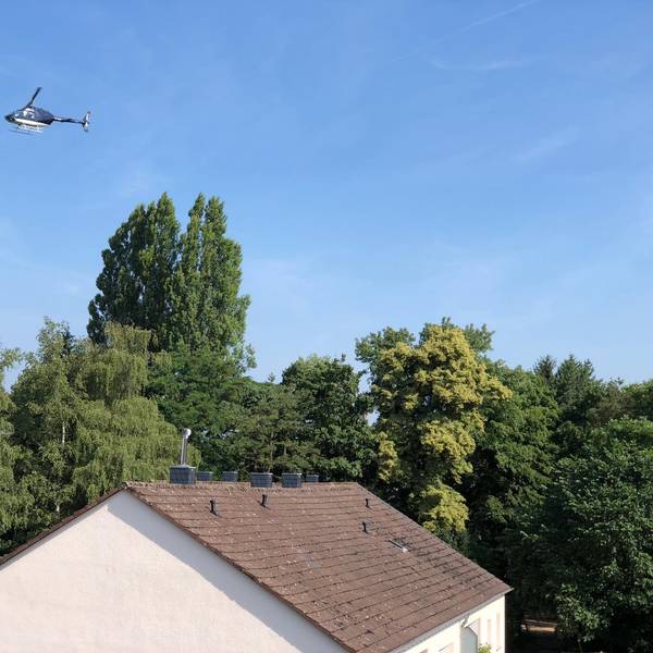 Neuer Inhalt