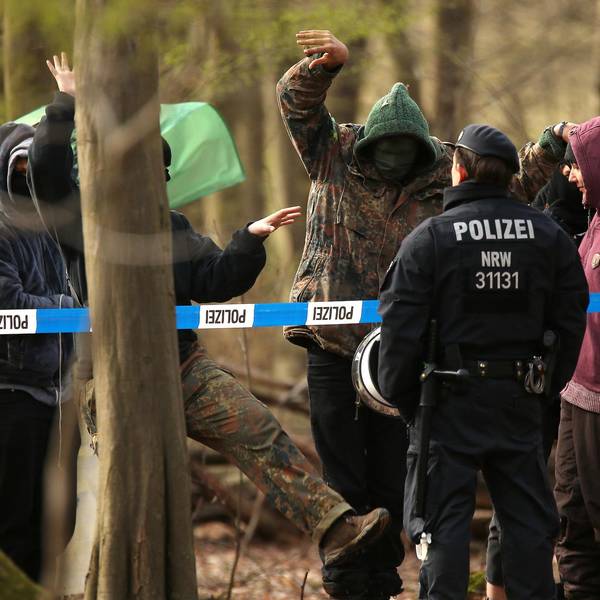 Polizei im Hambacher Forst 090519
