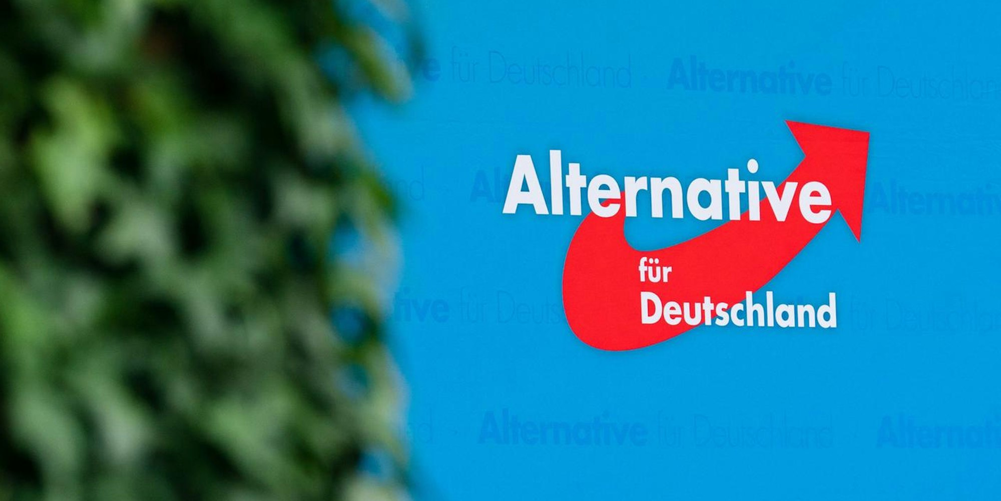 AfD Logo dpa 140922