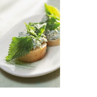 rezept der woche brennessel aufstrich (1)