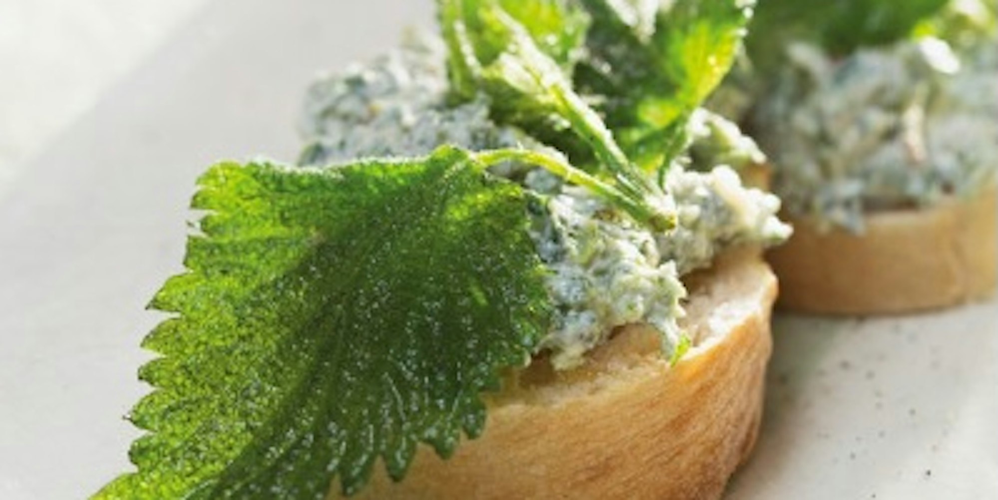 rezept der woche brennessel aufstrich (1)