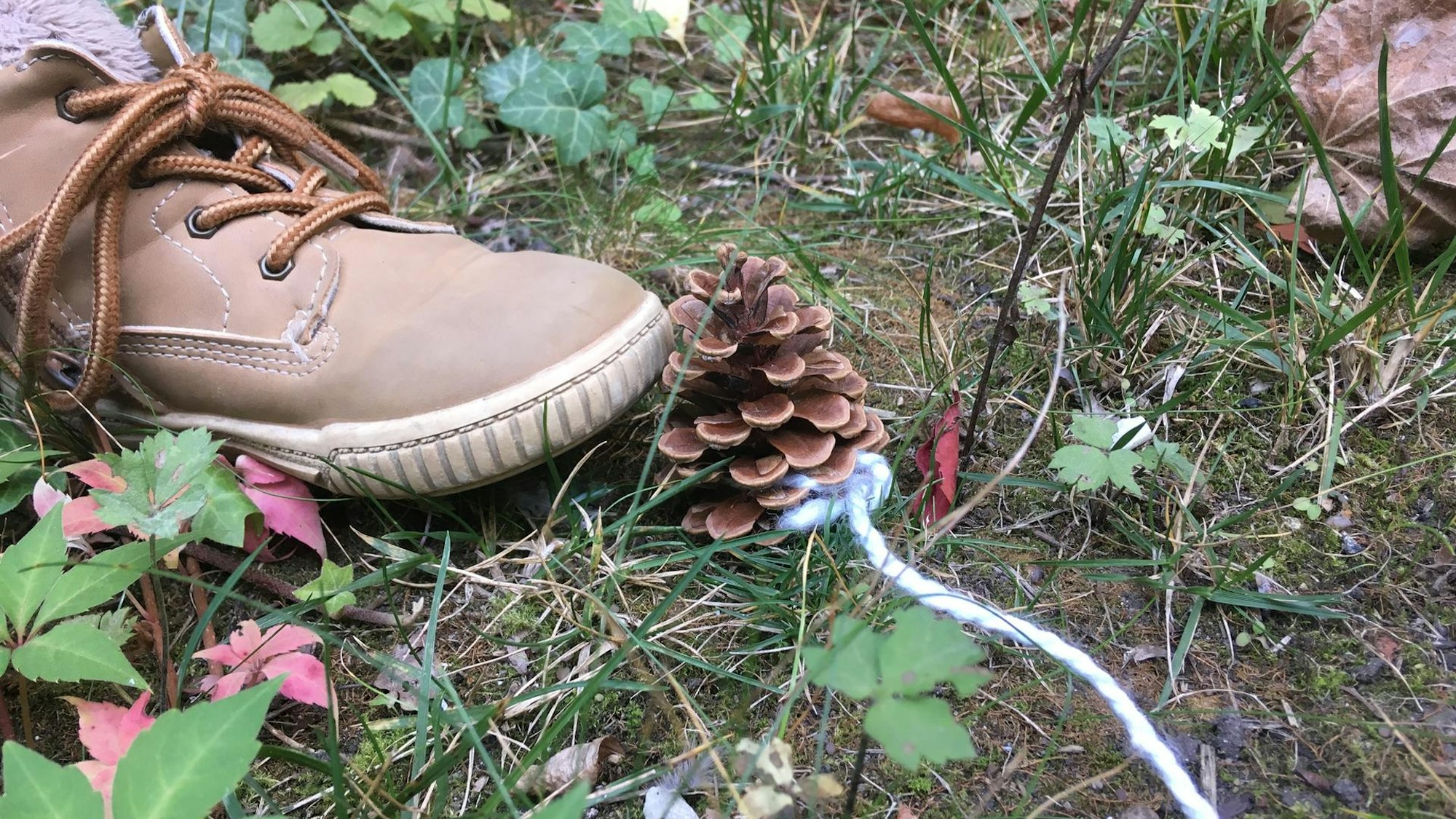 Tannenzapfen an einer Schnur, daneben ein Schuh