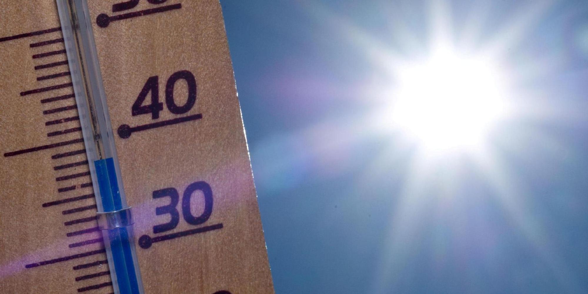 thermometer