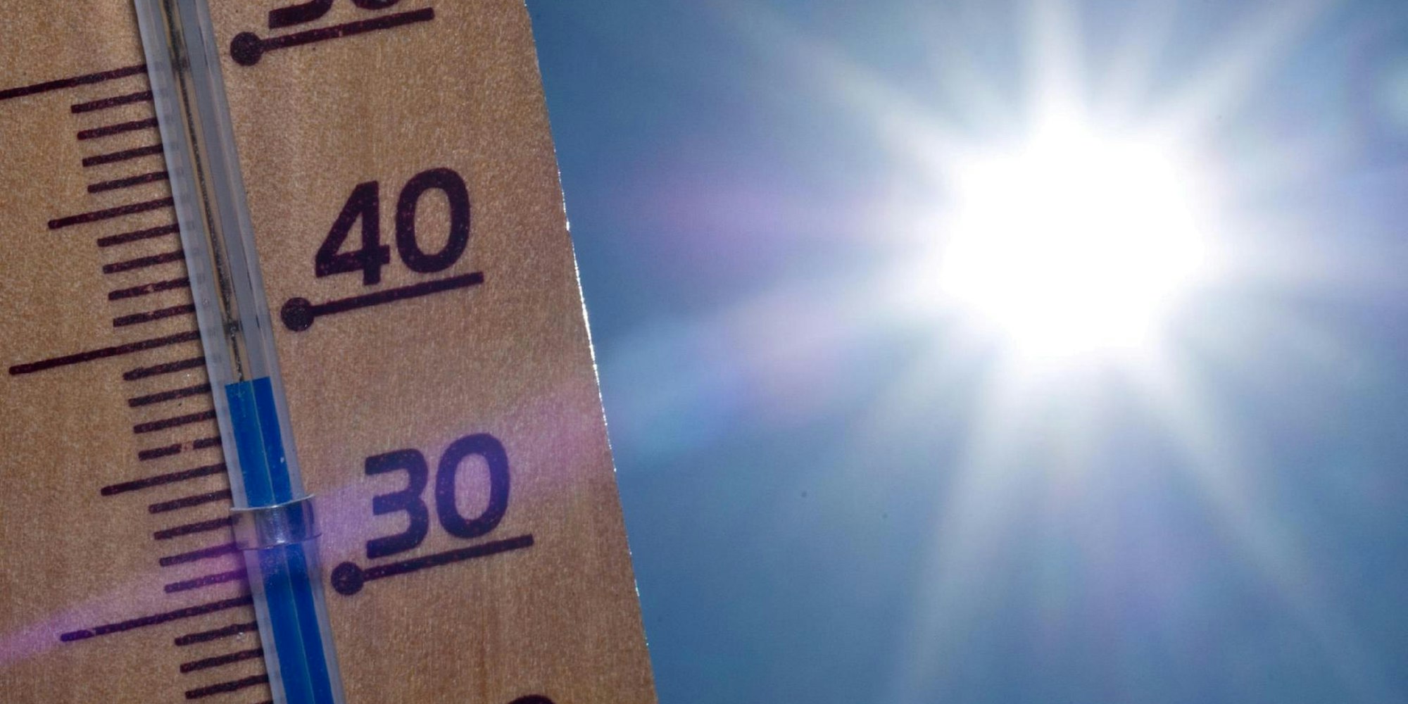 thermometer
