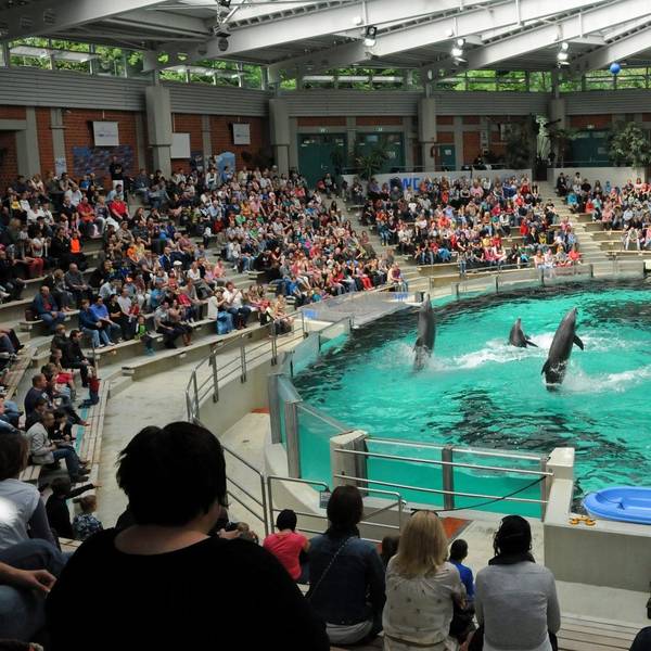 Delfinarium Duisburg