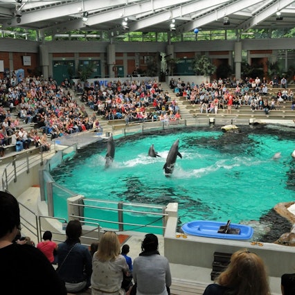 Delfinarium Duisburg