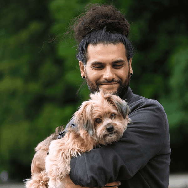hundetherapeut