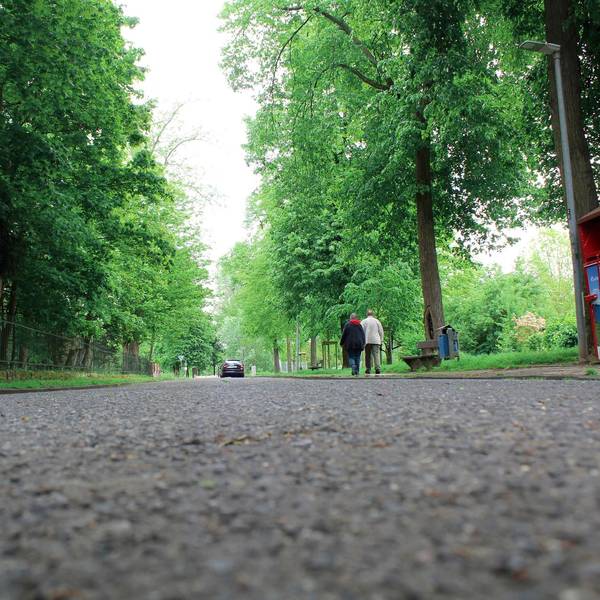 Bergheim_Paffendorf_Kastanienallee_(2)