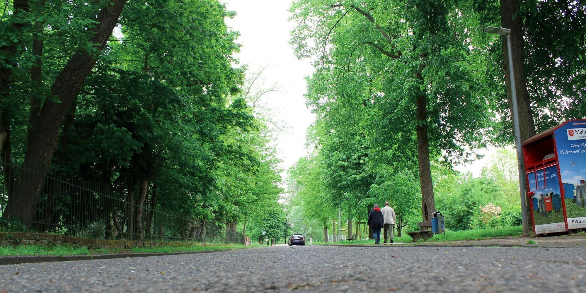 Bergheim_Paffendorf_Kastanienallee_(2)